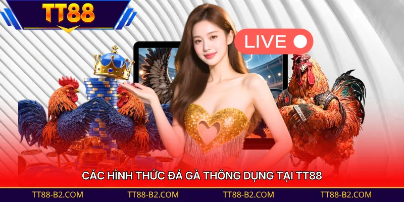 Các hình thức đá gà thông dụng tại TT88