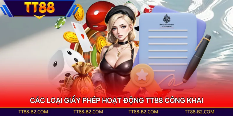 Các loại giấy phép hoạt động TT88 công khai