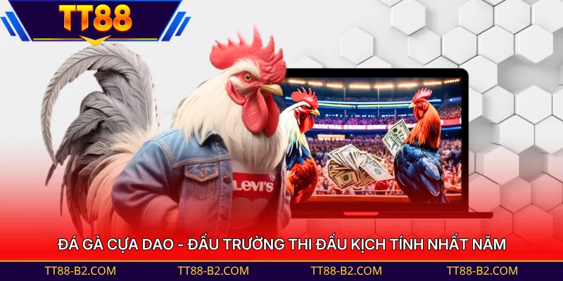 Đá gà cựa dao - Đấu trường thi đấu kịch tính nhất năm