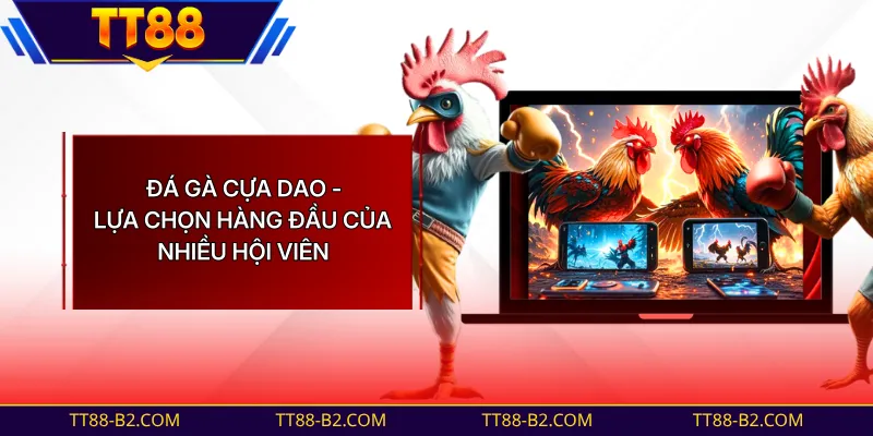Đá Gà Cựa Dao - Lựa Chọn Hàng Đầu Của Nhiều Hội Viên