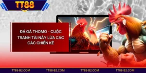 Đá Gà Thomo - Cuộc Tranh Tài Nảy Lửa Các Các Chiến Kê