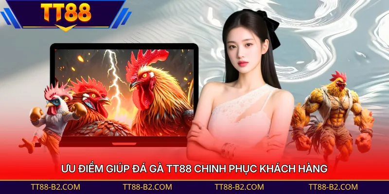 Ưu điểm giúp đá gà TT88 chinh phục khách hàng